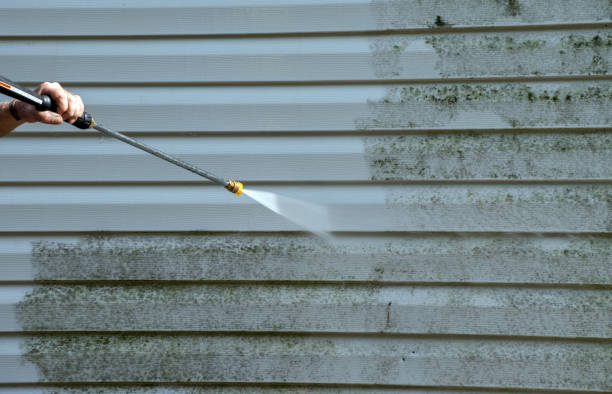 Best Driveway Pressure Washing  in Pea Ridge, WV
